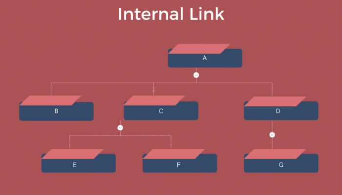 Internal link mang thông tin giá trị cho người đọc