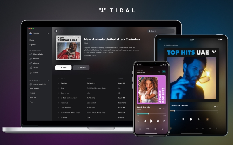 các gói cước dịch vụ của tidal