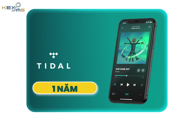 nâng cấp tài khoản Tidal tại Ekeyms