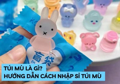 Túi Mù Là Gì? Hướng Dẫn Cách Nhập Sỉ Túi Mù Siêu Đơn Giản