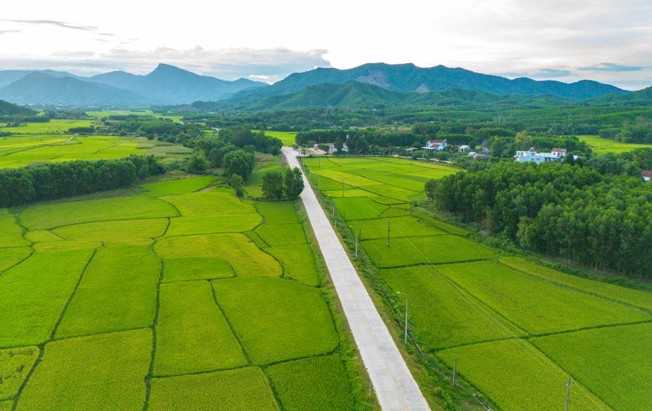 Nông Nghiệp Sạch, Hữu Cơ Và Bền Vững Cho Nhà Vườn Hiện Đại