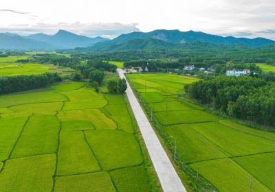 Nông Nghiệp Sạch, Hữu Cơ Và Bền Vững Cho Nhà Vườn Hiện Đại