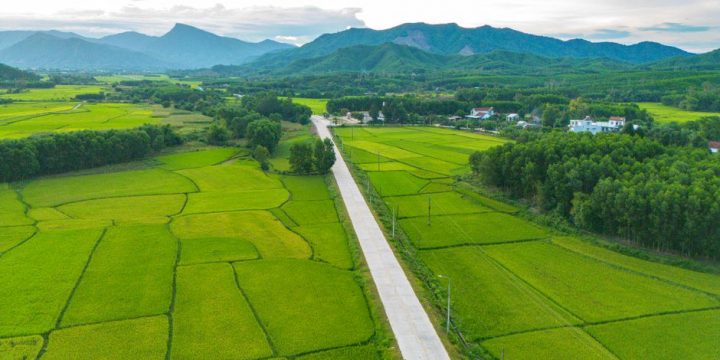 Nông Nghiệp Sạch, Hữu Cơ Và Bền Vững Cho Nhà Vườn Hiện Đại