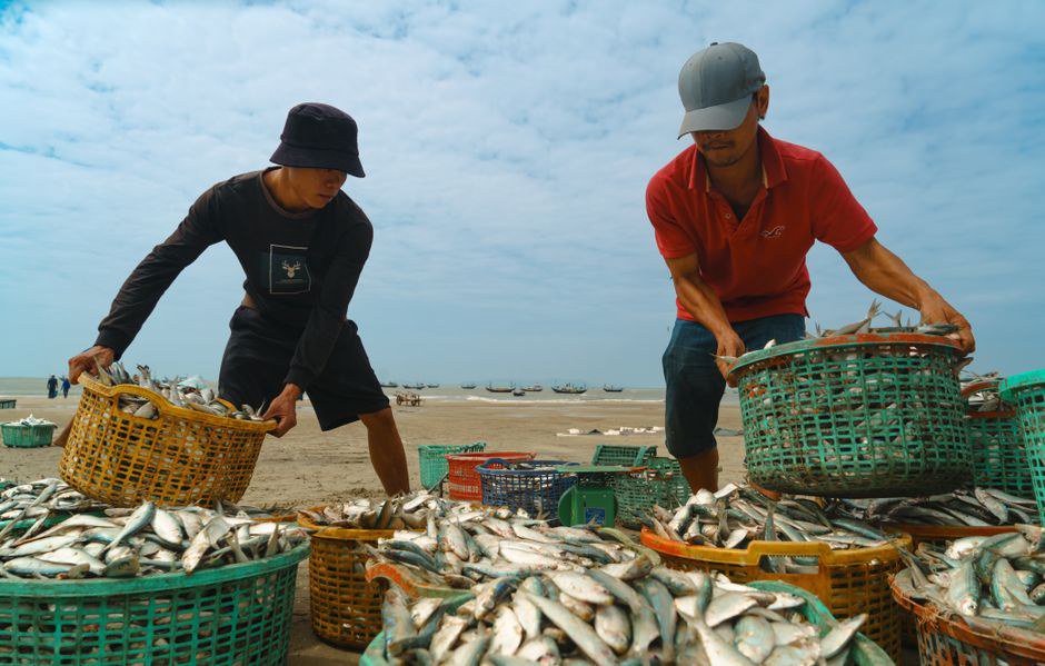 Kho chứa nông sản tại chỗ giúp nhà vườn chủ động bảo quản sau thu hoạch