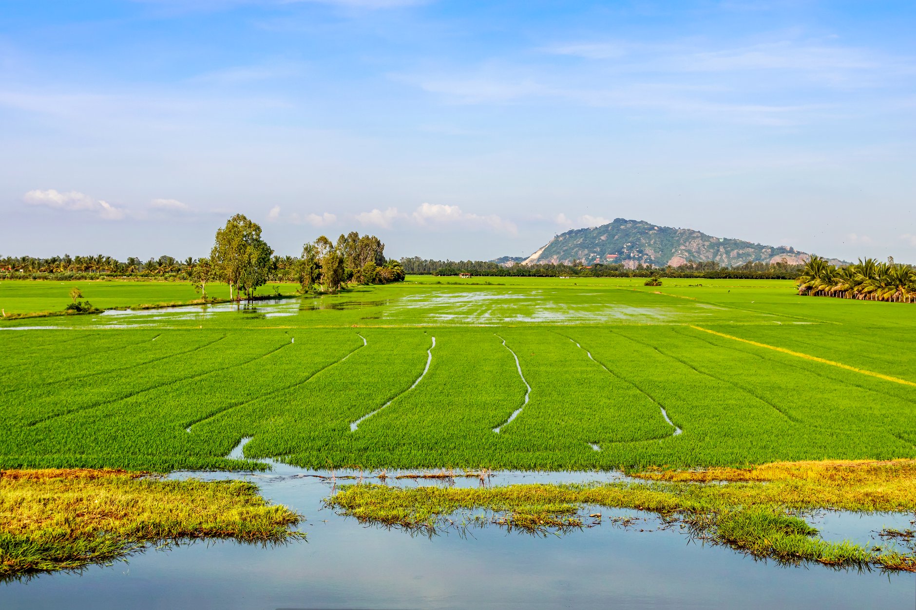 Kinh Nghiệm Canh Tác Theo Vùng Miền Và Mùa Vụ