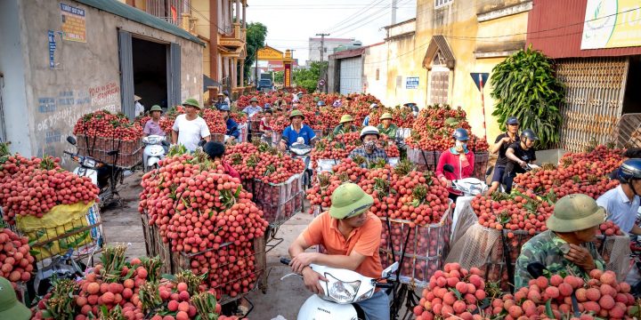 Xu Hướng Tiêu Dùng Nông Sản Sạch Tại Thành Thị