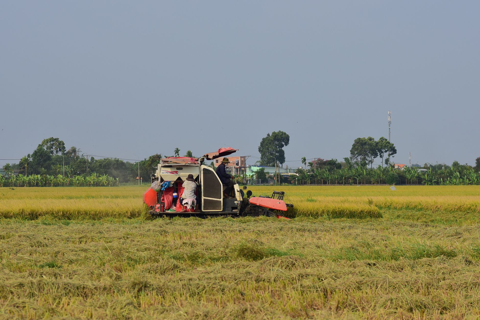 Tin tức, xu hướng và thị trường nông sản: người thành phố giờ ăn kỹ hơn, hỏi nhiều hơn về nguồn rau quả