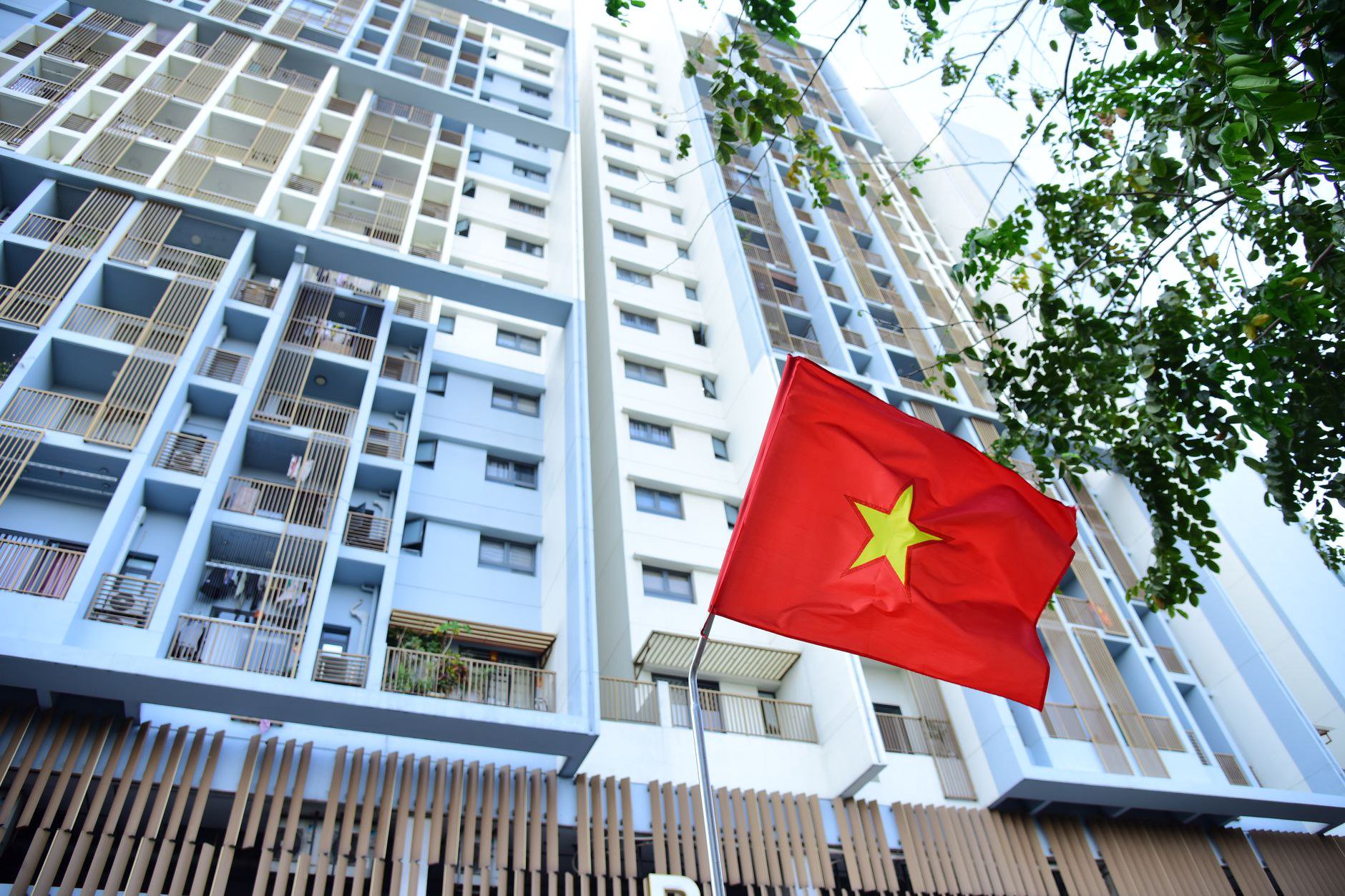 Đơn vị cung cấp tăng đơ M24 cho giàn leo nhà vườn Đơn vị cung cấp tăng đơ M24 cho giàn leo nhà vườn