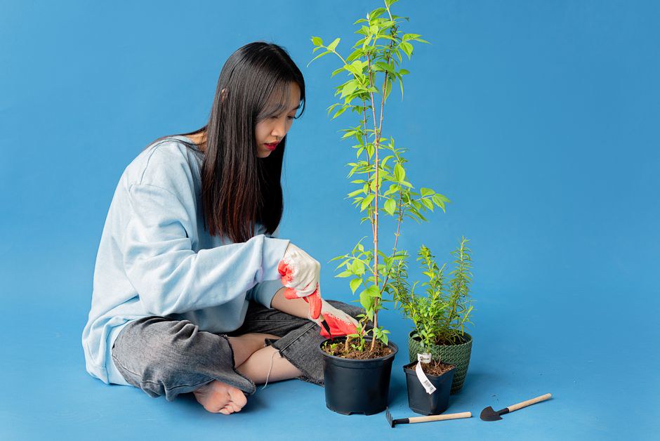 Dụng cụ làm vườn cơ bản là khoản chi tiêu thường xuyên của mọi nhà vườn