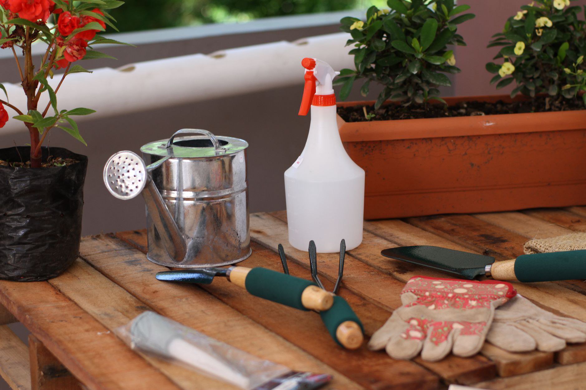 Order hộ hàng hóa Pinduoduo giúp nhà vườn tiếp cận dụng cụ thuận tiện