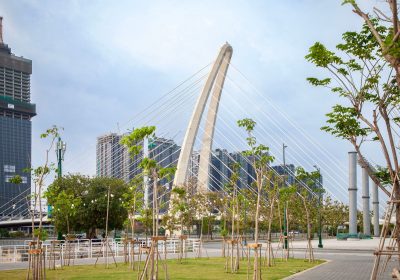 Tăng Đơ M22: Chằng Chống Cây Ăn Trái Mùa Mưa Bão
