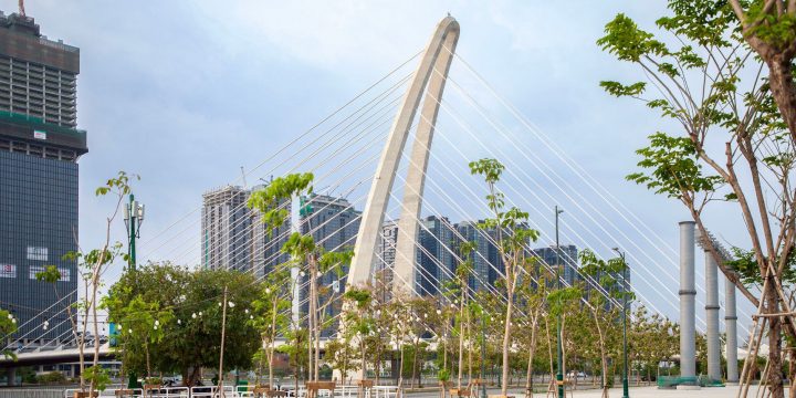 Tăng Đơ M22: Chằng Chống Cây Ăn Trái Mùa Mưa Bão